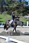 ref. photo 3550848