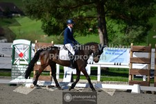 ref. photo 3550850