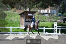 ref. photo 3550851