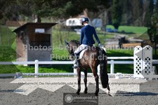 ref. photo 3550856