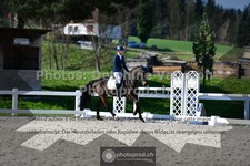 ref. photo 3550865