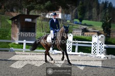 ref. photo 3550870