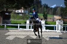 ref. photo 3550871