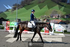ref. photo 3550895