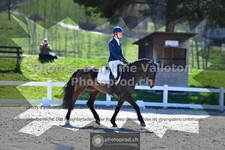 ref. photo 3550900