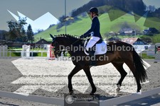 ref. photo 3550903