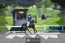 ref. photo 3550912