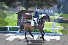 ref. photo 3550919