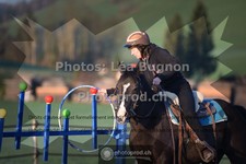 ref. photo 3550932