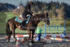 ref. photo 3550938