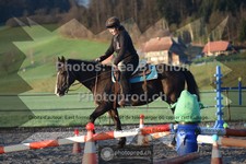 ref. photo 3550939
