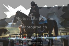 ref. photo 3550940