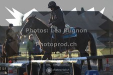 ref. photo 3550941