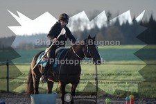 ref. photo 3550942