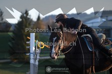 ref. photo 3550946
