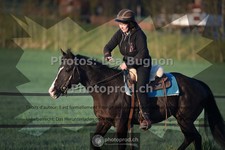 ref. photo 3550950