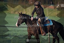 ref. photo 3550951