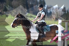 ref. photo 3550955