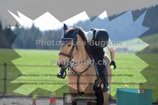 ref. photo 3550971