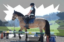 ref. photo 3550977