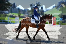 ref. photo 3550990