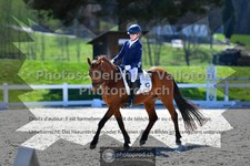 ref. photo 3550999
