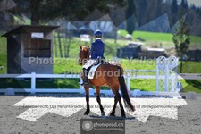 ref. photo 3551001