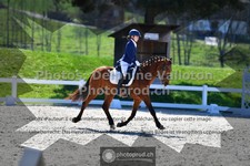 ref. photo 3551003