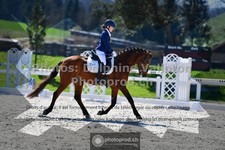ref. photo 3551004