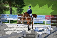 ref. photo 3551006