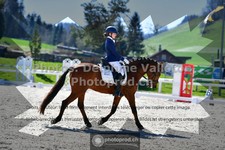 ref. photo 3551008