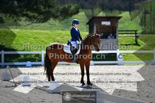 ref. photo 3551011