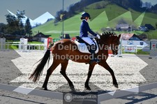 ref. photo 3551012