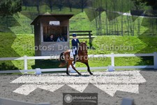 ref. photo 3551018