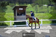 ref. photo 3551019