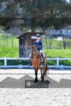ref. photo 3551020