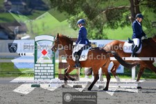 ref. photo 3551024