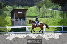 ref. photo 3551026
