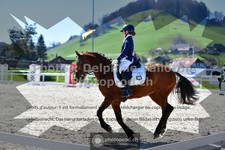 ref. photo 3551031