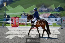 ref. photo 3551034