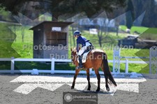 ref. photo 3551037