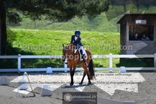 ref. photo 3551040