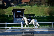 ref. photo 3551044