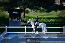 ref. photo 3551046