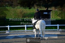 ref. photo 3551049