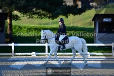 ref. photo 3551056