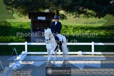 ref. photo 3551057