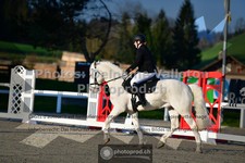 ref. photo 3551059