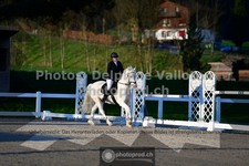 ref. photo 3551062