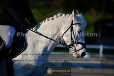 ref. photo 3551074